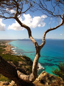 Formentera&#8206;..