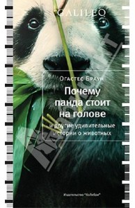 Огастес Браун: Почему панда стоит на голове