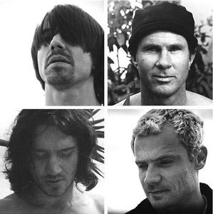 билет на концерт RHCP