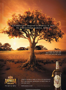 Amarula Liqueur