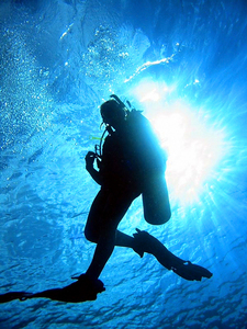 Дайвинг. получить сертификат Open water diver