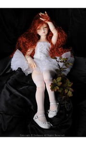 Doll BJD