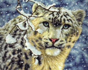 Snow Leopard