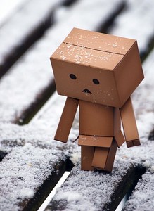 Danbo