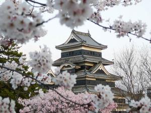 Spring in Japan