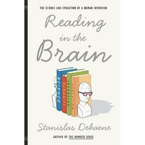 reading in the brain