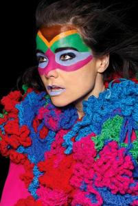 Bj&#246;rk