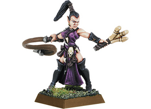 Dark Elf Beastmaster with Claw