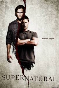 DVD Supernatural, 6 cезон