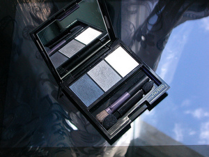 Тени Shiseido Snow Shadow (GY901)