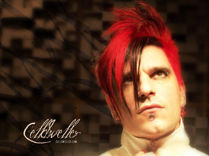 Celldweller концерт