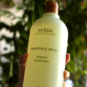 aveda rosemary mint shampoo