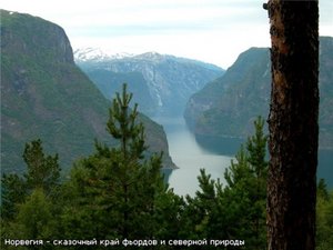 Тур по Скандинавии. Посетит корабельный музей в г.Осло и Норвежские фьорды.