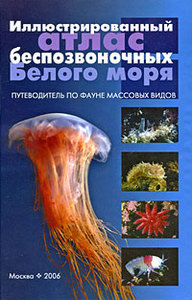 Н. Н. Марфенин, С. А. Белорусцева: Атлас беспозвоночных Белого моря