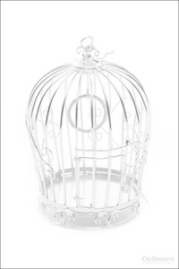 Dollmore Birdcage (white)