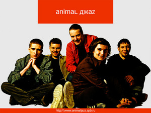 Диск Animal Джаz