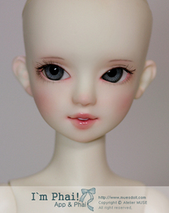 Musedoll Phai Head