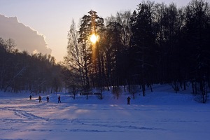 увидеть зимнее Царицыно :)