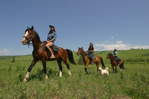 конная прогулка