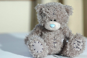 Teddy Bear