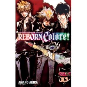 Katekyo Hitman Reborn! visual book REBORN Colore!