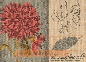 Набор для вышивания Chrysanthemum (Lanarte)