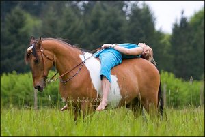 перчатки для верховой езды