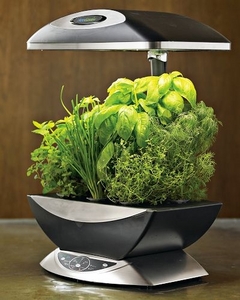 Aerogarden