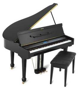 grand piano