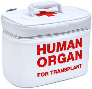 Organ Transport Lunch Cooler