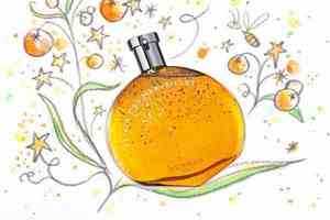 Elixir des Merveilles Hermes