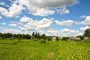 в деревню