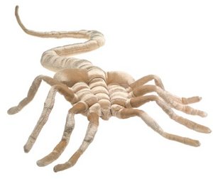 alien facehugger