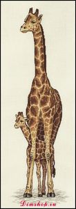 Giraffe Mother and Baby (Жираф и детеныш)