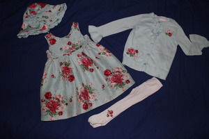 Janie & Jack Lot of Dozen Rose Silk Dress Size 6-12-18M