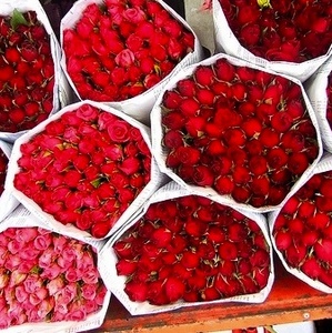 columbia rd flower market