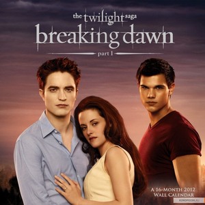 The Twilight Saga: Breaking Dawn - Part 1