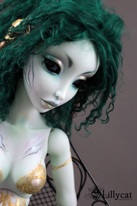 Lillycat Cerisedolls The queen ( Sandre n°5/8)