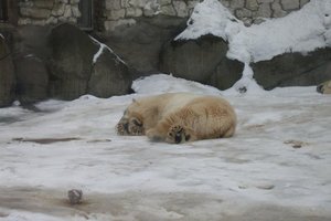 перестать быть ленивой жопой