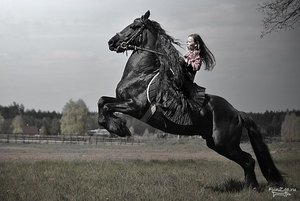 уроки верховой езды