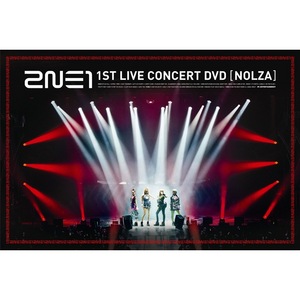 2NE1 1st LIVE CONCERT [NOLZA!]