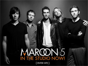 Сходить на концерт Maroon 5