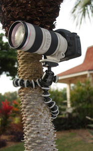 Gorillapod Focus