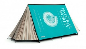 палатка Fieldcandy