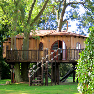 Blue Forest Tree Houses