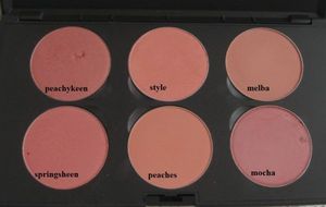 PRO PALETTE BLUSH X 6 от MAC