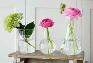 Laboratory Vases: колбы, мензурки и необычные сосуды