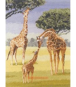 Giraffes Heritage