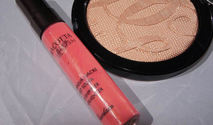 Terracotta Blush Sun Shimmer Highlighter 02 Sunny Pink