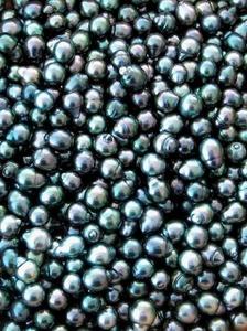 Black Pearls